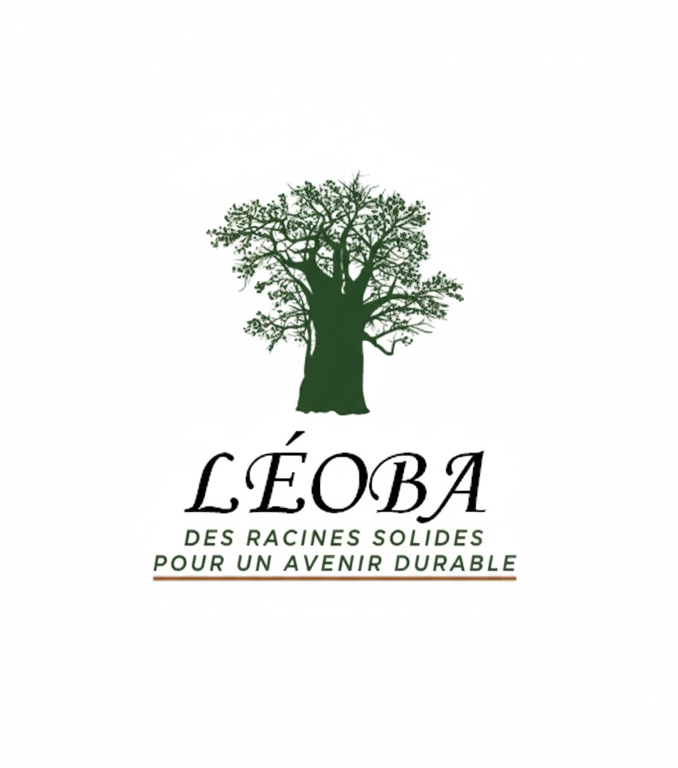 Léoba Conseil et Formation
